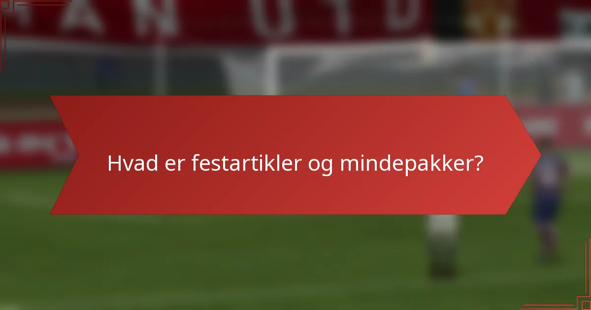 Hvad er festartikler og mindepakker?